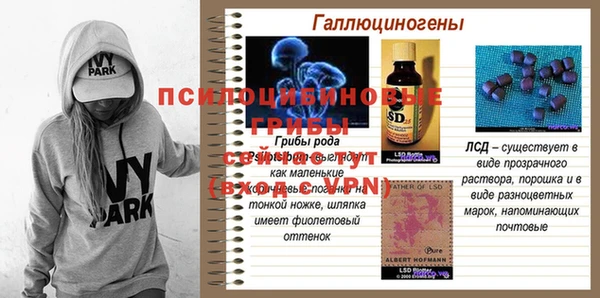 не бодяженный Богданович