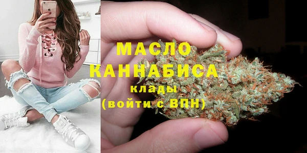 дмт Богородск